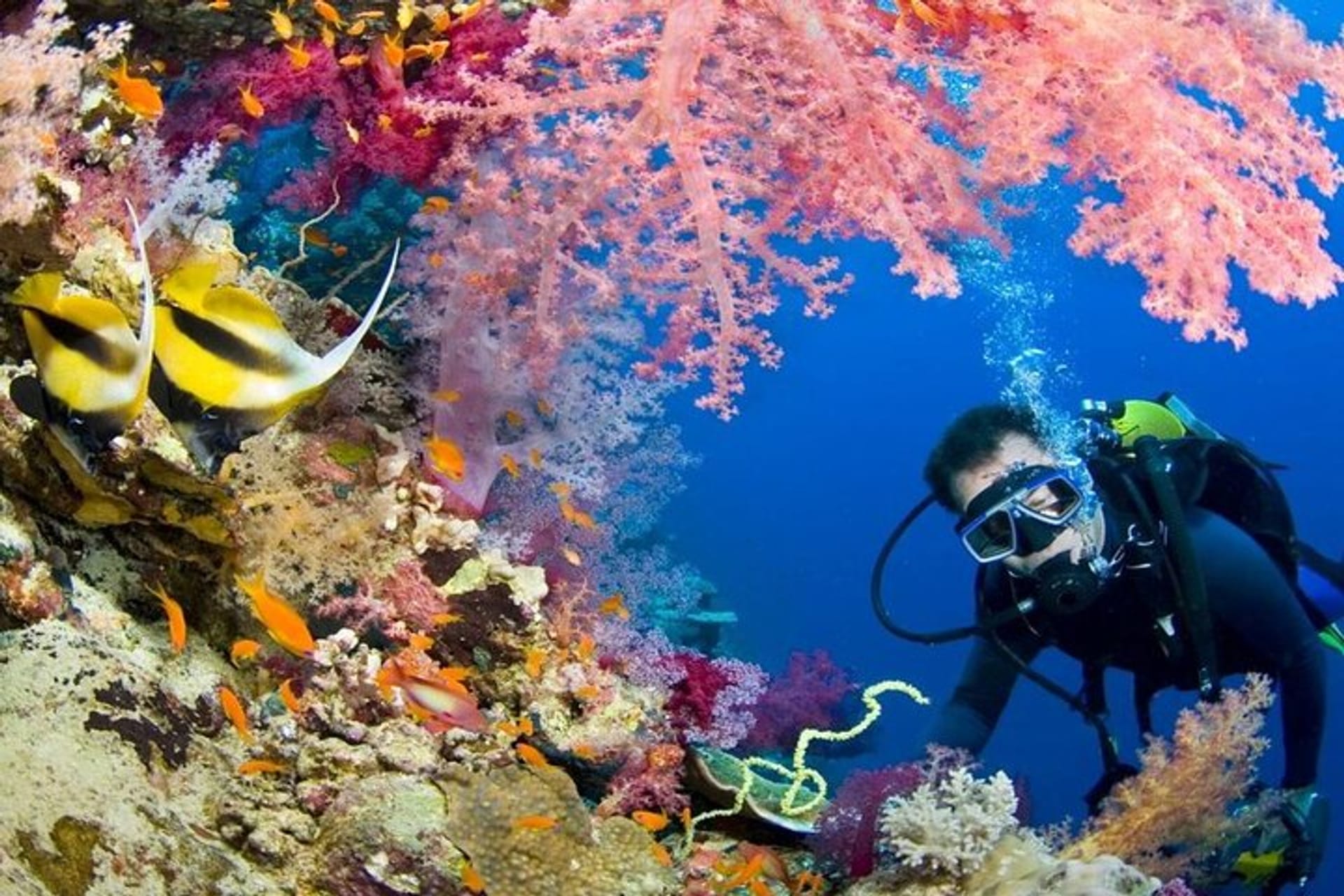 Underwater scene in Hurghada, Egypt, showcasing vibrant coral reefs and colorful marine life in the Red Sea, perfect for diving and snorkeling adventures.